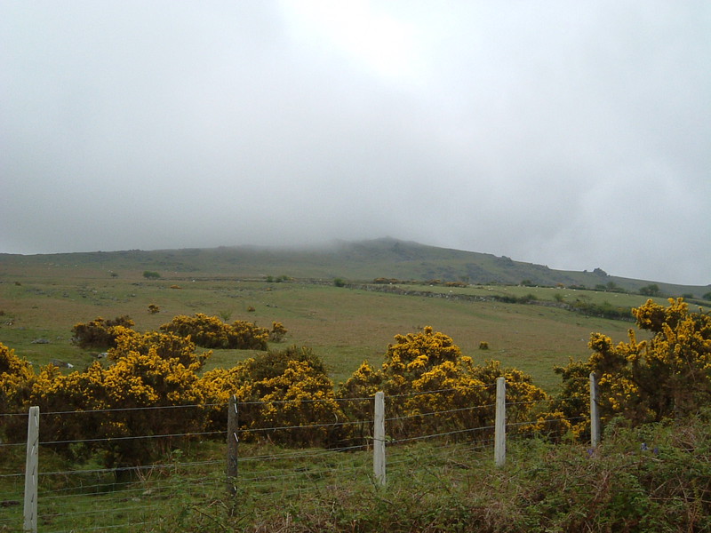 Sourton Tors in the rain