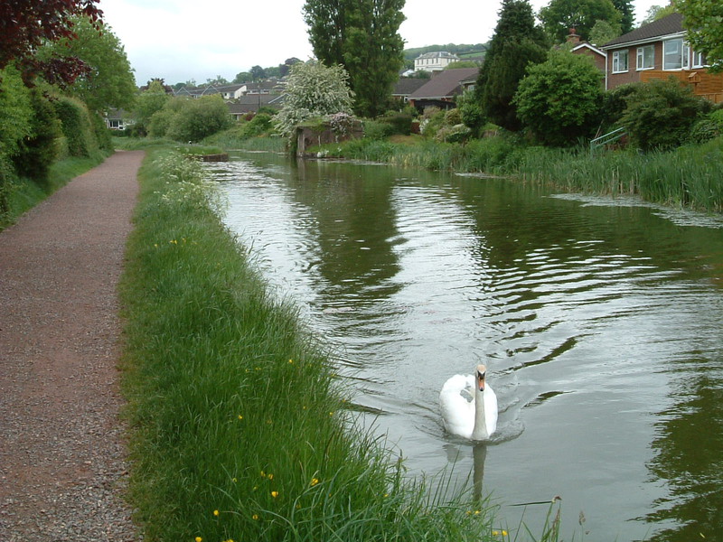 The Great Western Canal