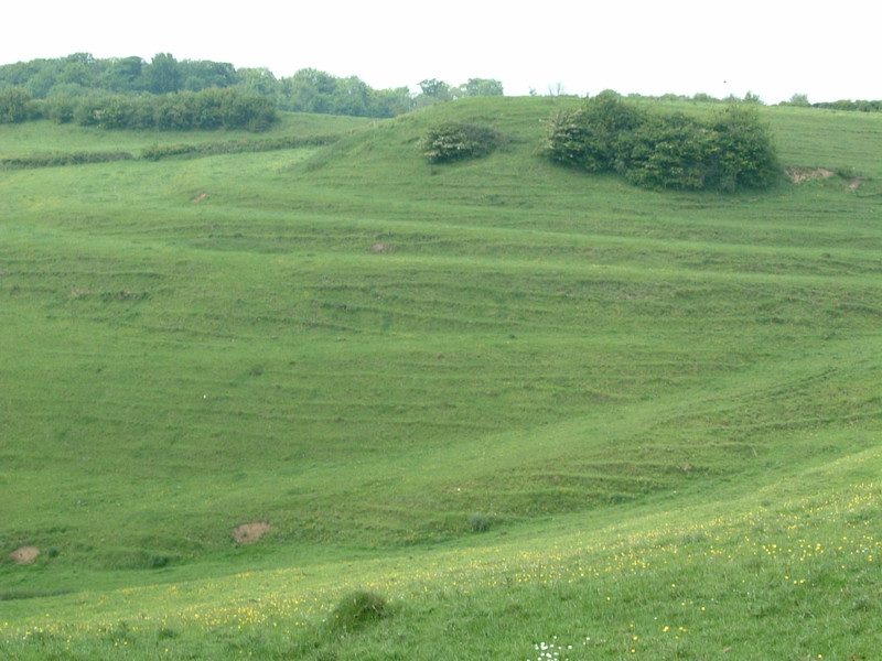 Strip lynchets near Dyrham